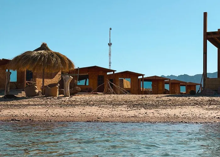 Jazz Nuwibaa Camp